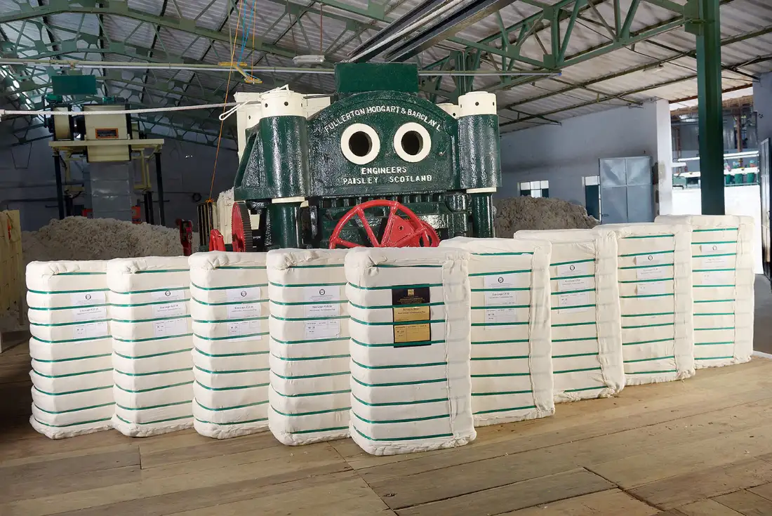 Cloth-packed cotton bales in front of a double roller gin at the Appachi ginning factory