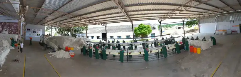 The ginning hall with 22 double roller gins