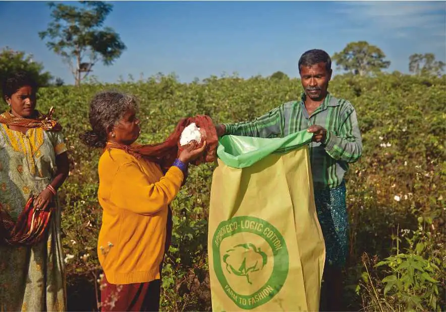Farmers holding a bag of freshly picked Eco-Logic cotton in the field