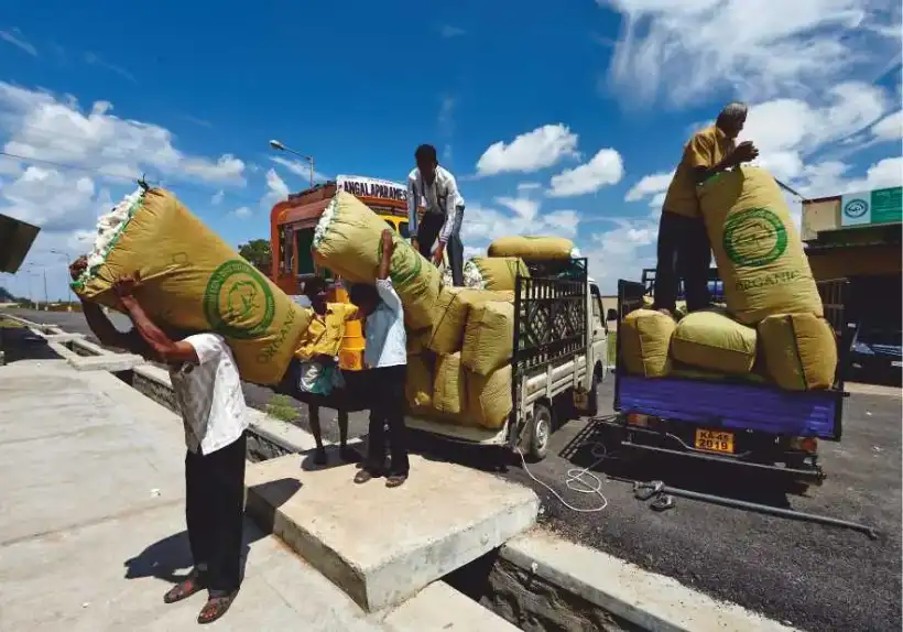 Cotton bags loaded onto a truck