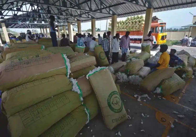Cotton bags at the Eco-Logic market yard